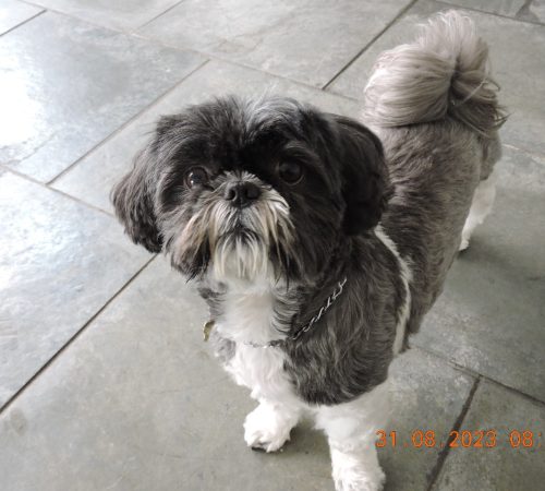 WhatsApp Image 2023-09-13 at 16.23.32 (1)